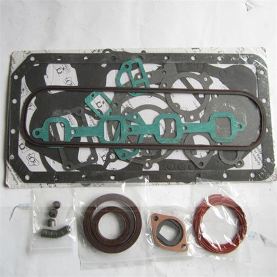 Bộ sửa chữa động cơ diesel cho động cơ Quanchai N485 112100-422116-21
